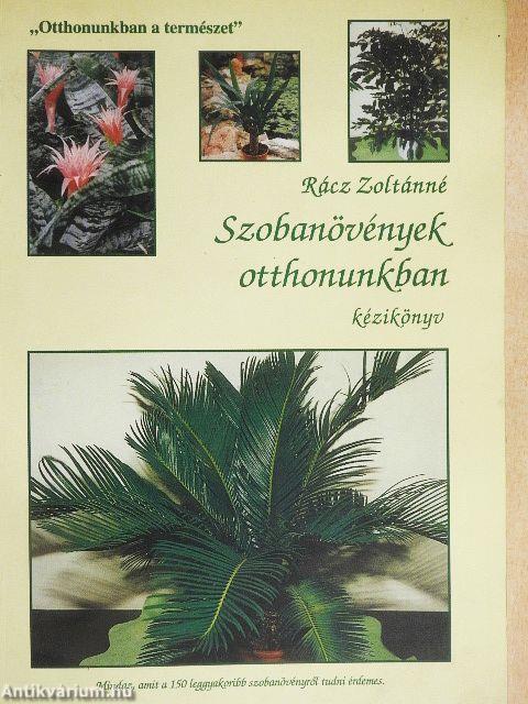 Szobanövények otthonunkban