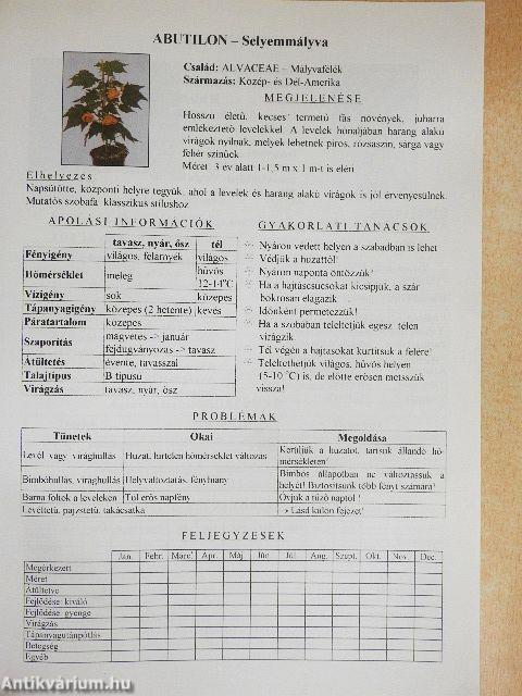Szobanövények otthonunkban
