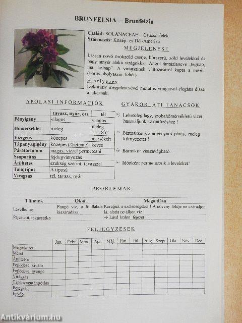 Szobanövények otthonunkban