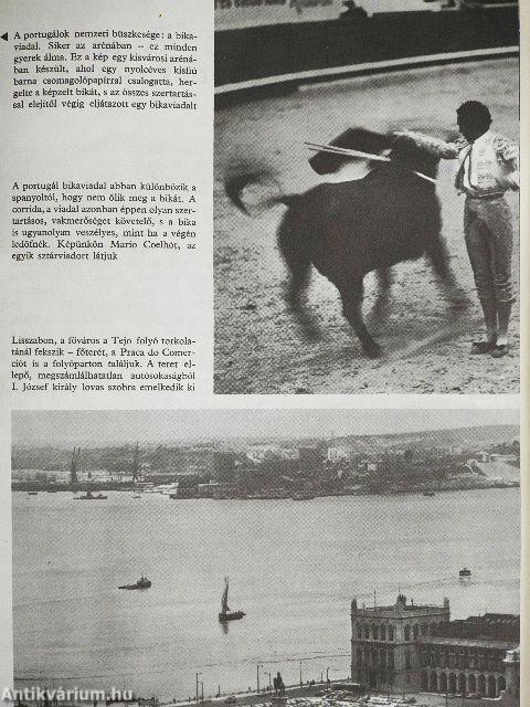 Fiúk Évkönyve 1974