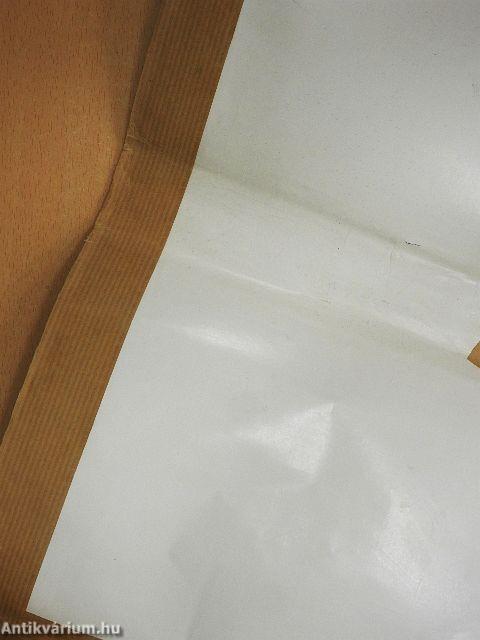 Horthy Miklós titkos iratai