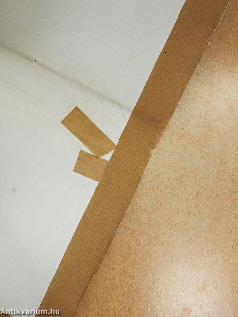 Horthy Miklós titkos iratai