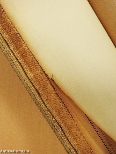 Meyers Grosser Hausatlas