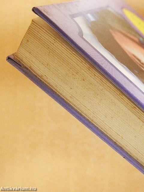 A tizenöt éves kapitány