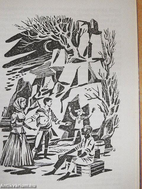 A tizenöt éves kapitány