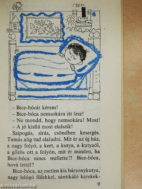 Bice-bóca, hová lettél?