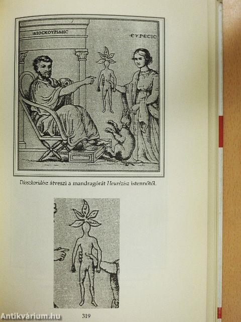 A drogok történelme