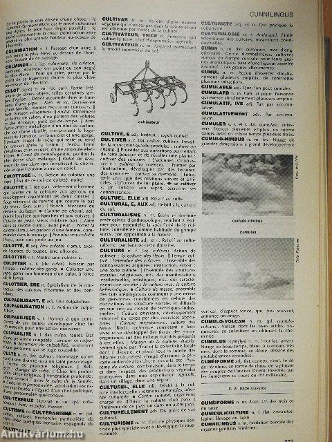 Petit Larousse illustré 1985