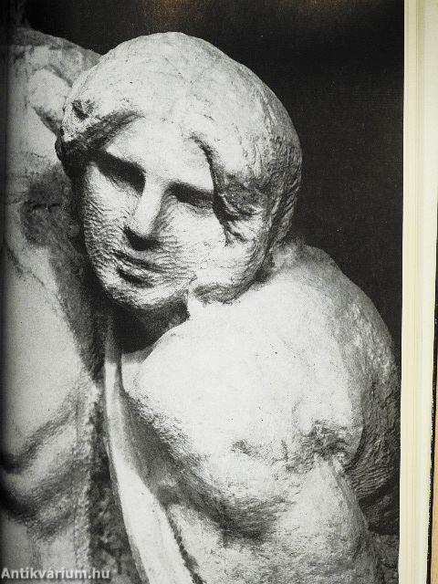 Én, Michelangelo