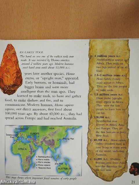 Civilizations Factfinder