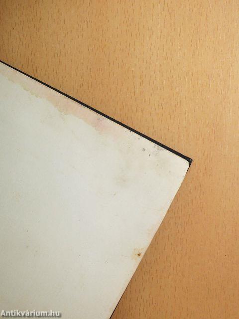 A Palatinus-huszárok