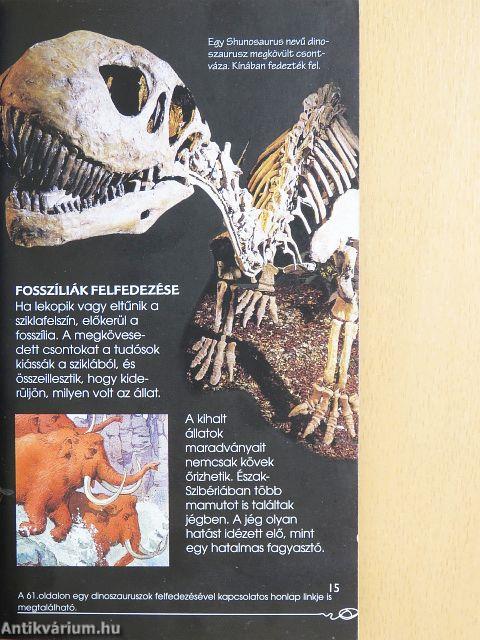 Dinoszauruszok