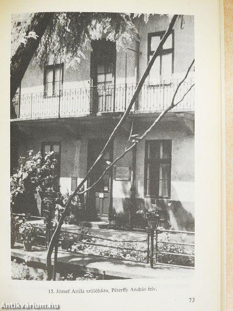 Irodalmi kirándulások