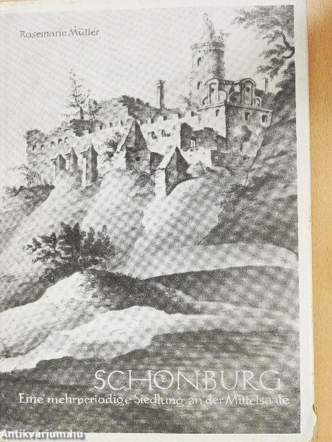 Latenezeitliche Siedlungen im Saale-Elbe-Gebiet - 1. Schönburg, Kreis Naumburg