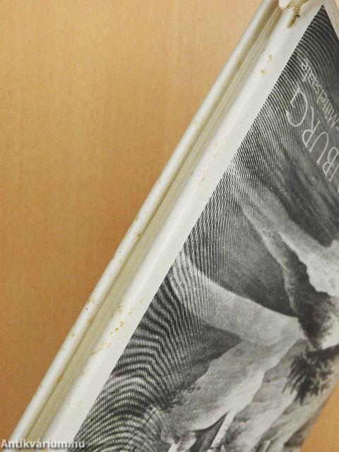 Latenezeitliche Siedlungen im Saale-Elbe-Gebiet - 1. Schönburg, Kreis Naumburg