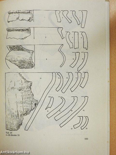 Latenezeitliche Siedlungen im Saale-Elbe-Gebiet - 1. Schönburg, Kreis Naumburg
