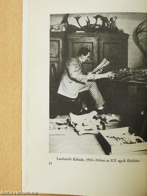 "Kezdetben volt Pakots"