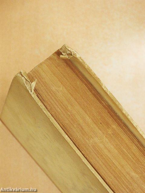 Jelenkori történet