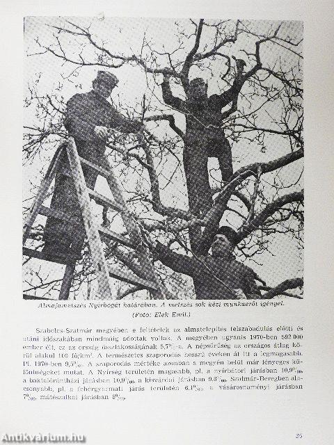 A Szabolcs-Szatmár megyei almatermelés történeti kialakulása, területi kérdései