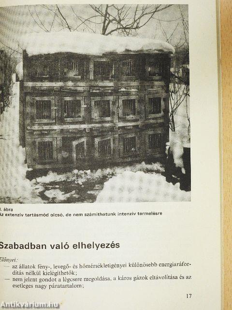 Nyúlhústermelés a kisgazdaságban