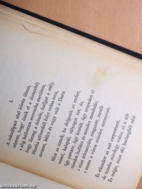 Mai magyarok régi magyarokról