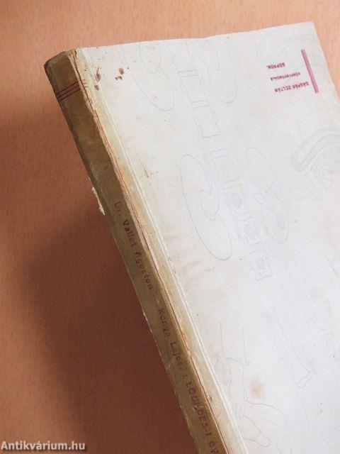 Lourdes-i gyógyulások