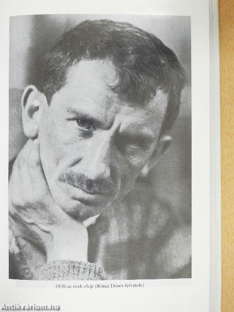 Virgonc szavak virgonc királya