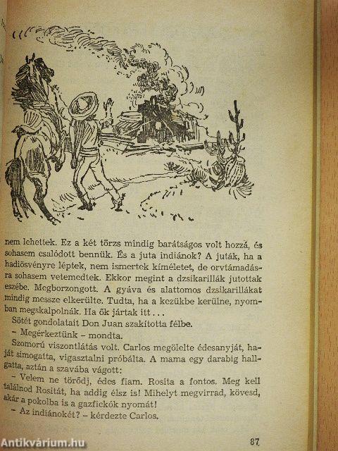 A fehér törzsfőnök