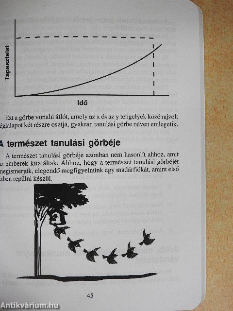 Gazdag papa - Üzleti iskola