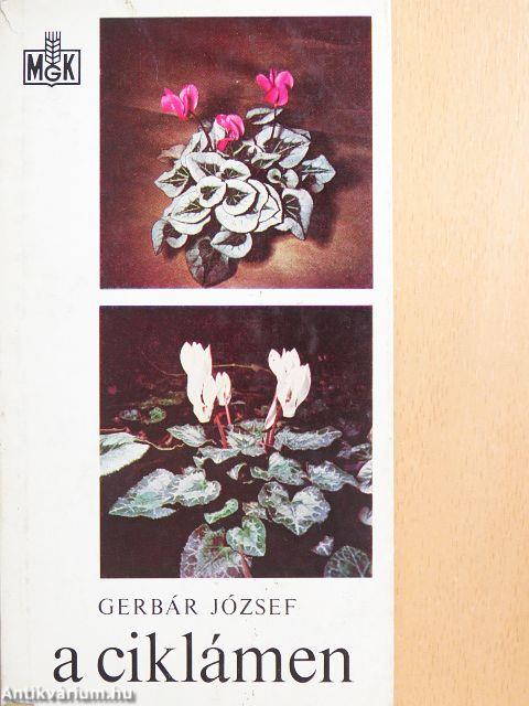A ciklámen