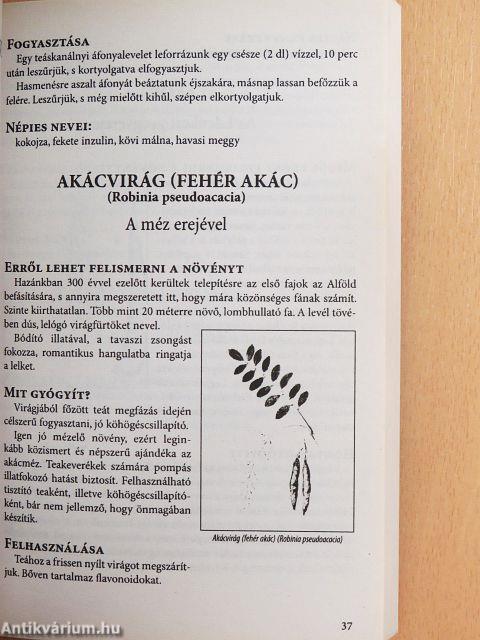A gyógyító természet
