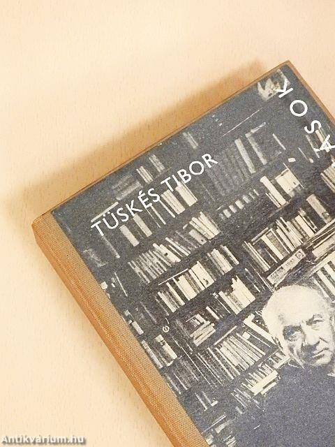 Illyés Gyula alkotásai és vallomásai tükrében