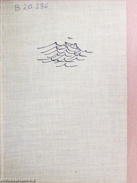 Hullámok kergetése