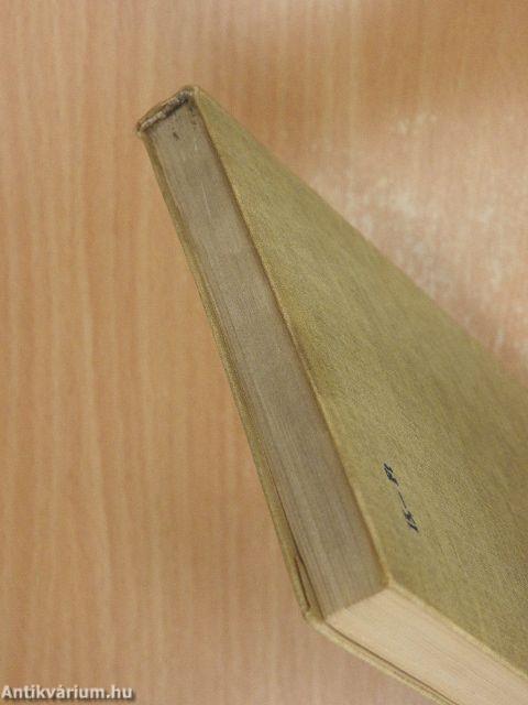 Hullámok kergetése