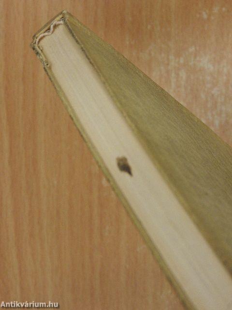 Hullámok kergetése