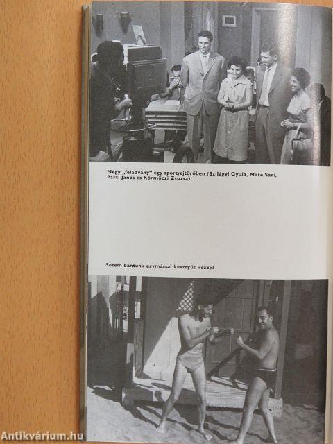 Hivatásos sportrajongó