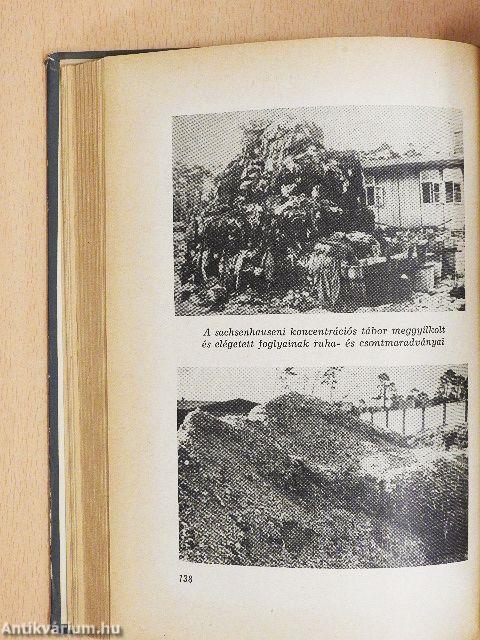 Akcióban az SS