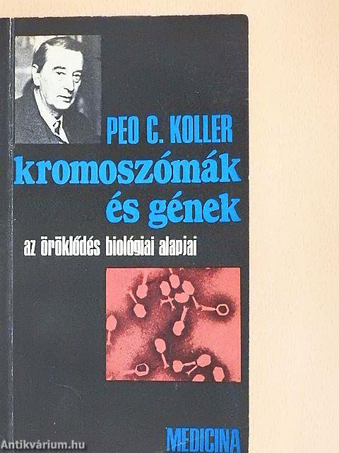 Kromoszómák és gének