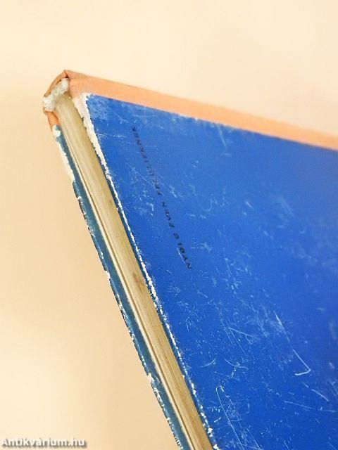 Kincskereső kisködmön