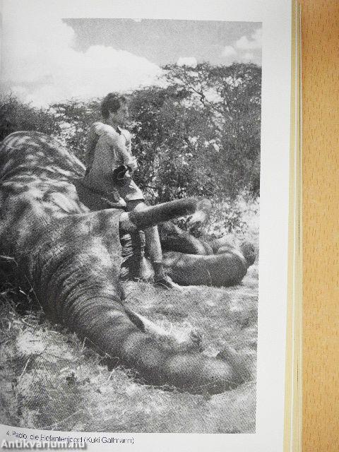 Ich träumte von Afrika