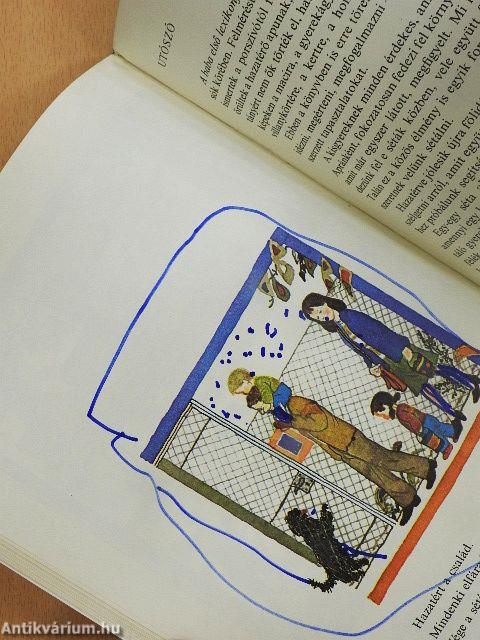 A baba első lexikonja II.