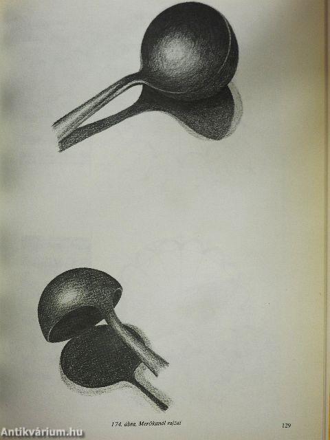 Vésnök díszítőrajzok