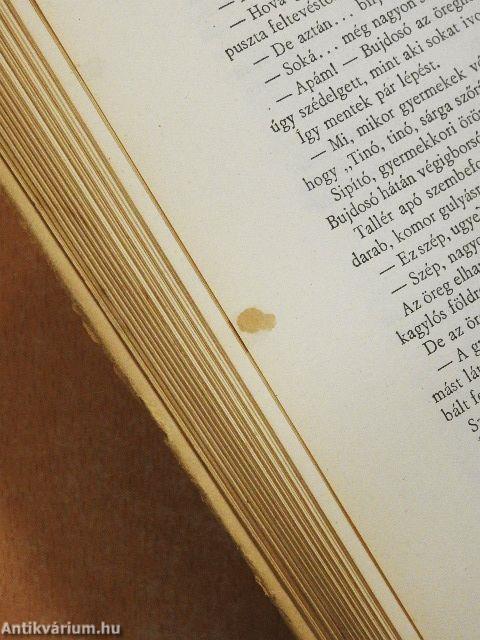 Az ördög apostolai