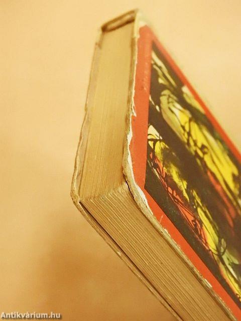 Mindenki mondja a magáét