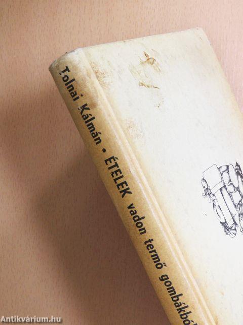 Ételek vadon termő gombákból és erdei gyümölcsökből