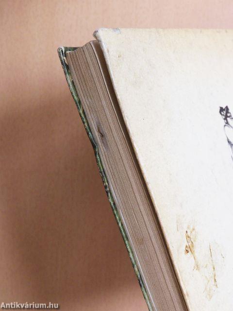 Ételek vadon termő gombákból és erdei gyümölcsökből