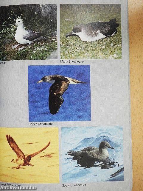 Jim Flegg's Field Guide to the Birds of Britain and Europe