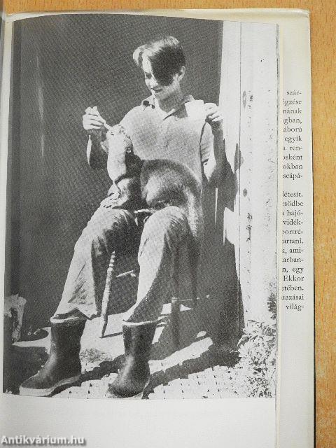 A maoizmus a nemzetközi kommunista mozgalom ellen