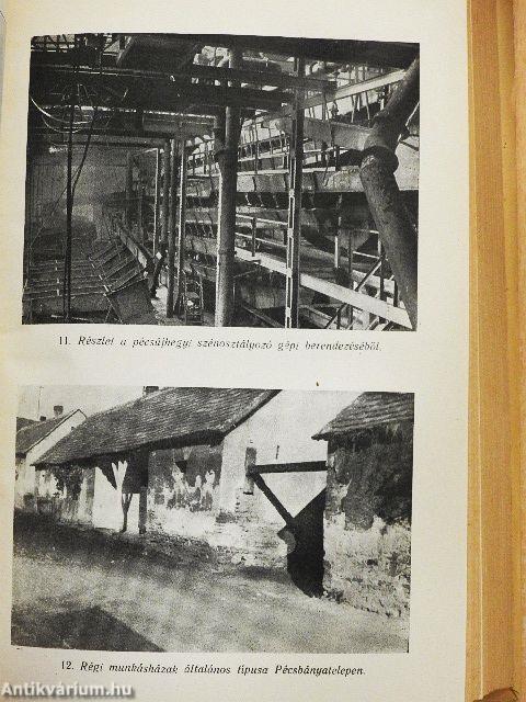 A pécsvidéki kőszénbányászat története