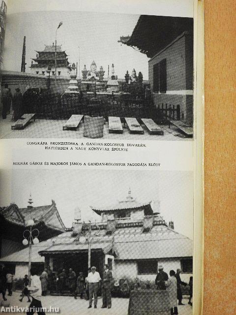 Az Arany-Góbi kősivatagában